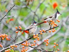 -上海市龙华烈士陵园
