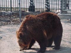 -秦皇岛野生动物园