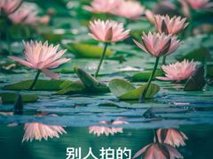 -茅家埠