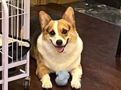 -1013 PET SHOP 宠物商店(近铁城市广场店)