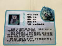 -青藏高原野生动物园