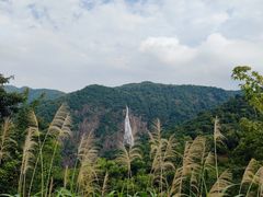 -广州市石门国家森林公园