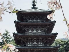 -醍醐寺