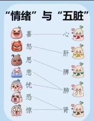 -YESIDO椰岛美容
