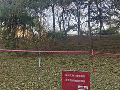 -元大都城垣遗址公园