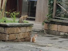 -老运河餐厅