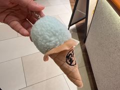 -野人先生现做冰淇淋(北京环宇荟店)