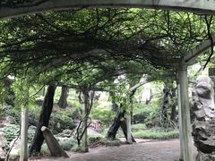-叶家花园