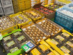 -西郊国际农产品交易中心