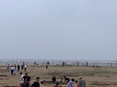 -碧海金沙
