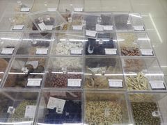 -同仁堂(新燕莎奥特莱斯店)