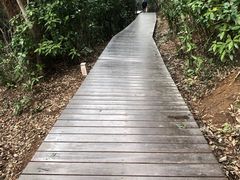 -上海佘山国家森林公园西佘山园