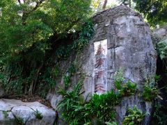 -深圳仙湖植物园