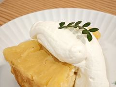 -猫里有甜