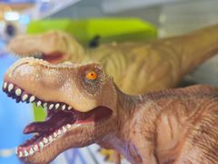 -TOYSRUS玩具反斗城(凯德广场云尚店)