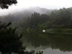 -庐山风景区花径公园