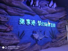 -梦幻海洋王国(吾悦广场张家港店)