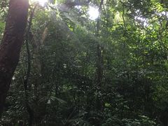 -七仙岭温泉国家森林公园