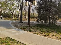 -西海子公园
