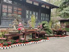 -成都杜甫草堂博物馆