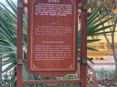 -西双版纳傣族园