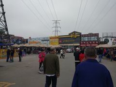 -中环花鸟鱼虫市场