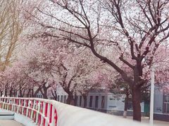 -吉林大学(南岭校区)