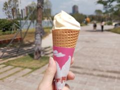 -光明小镇欢乐田园