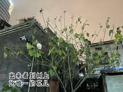 -潮人姐妹轩(海宁路店)