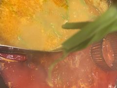 -朱光玉火锅馆(正弘城店)