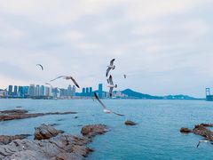 -黑石礁公园