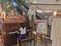 -鹏欣水游城