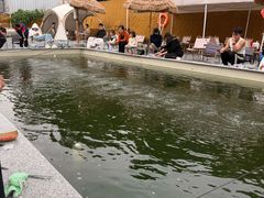 -DGE季风钓虾营地·团建·聚会