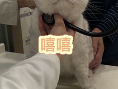 -菲尔斯特宠物医院