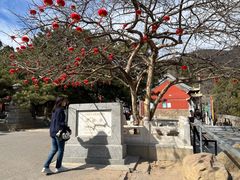 -潭柘寺景区