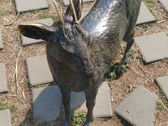 -北京麋鹿生态实验中心