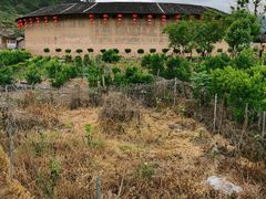 -福建土楼（华安）旅游区•大地土楼群