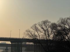 -长白岛森林公园