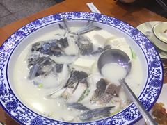 -全乐鱼馆·淳牌有机鱼直营店