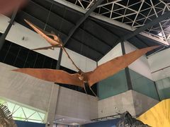 -湖南省地质博物馆