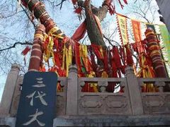 -大槐树寻根祭祖园