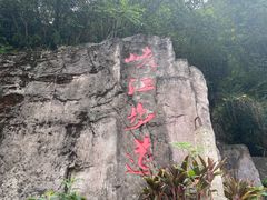 -铁山坪森林公园