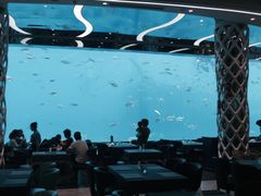 -瑞德姆美人鱼海底演艺主题餐厅(亚龙湾店)
