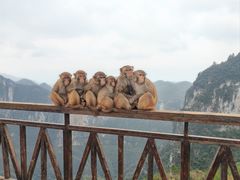 -重庆云阳龙缸景区