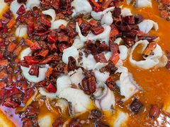 -青花椒花椒鱼(合生汇店)