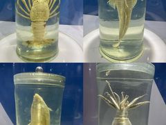 -福州罗源湾海洋世界旅游区