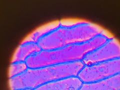 -斯坦星球AI编程·机器人科创·科学实验·信奥·思维·STEM·积木拼搭·竞赛考级(浦东联洋广场大拇指龙阳御桥中心)