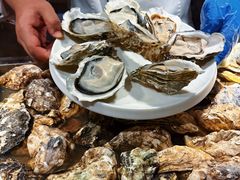 -秦皇岛秦皇国际大酒店