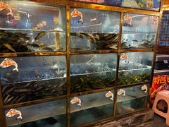 -三道苗苗鱼·美蛙黄辣丁(八里店)