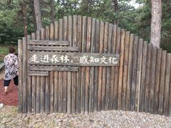 -北京西山国家森林公园